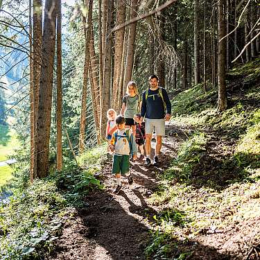 Eine Familie wandert auf einem Waldpfad durch einen sonnigen Nadelwald.