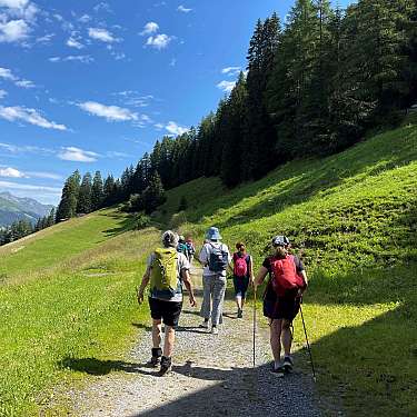 Mehrere Wanderer gehen auf einem alpinen Pfad durch grüne Hänge unter blauem Himmel.