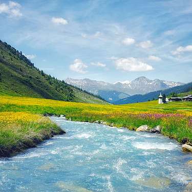 Bergfluss und Blumenwiese