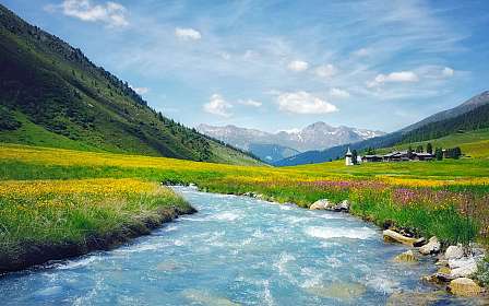 Mountain river and flower meadow