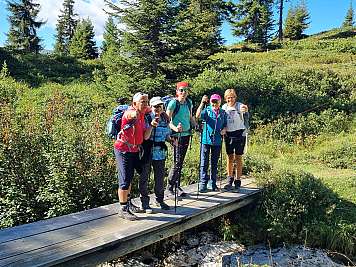 Fünf Wanderer stehen mit Stöcken auf einer Holzbrücke in einer grünen Berglandschaft.