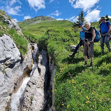 Davos Sommer 2018 (C)AndreaBadrutt (95)