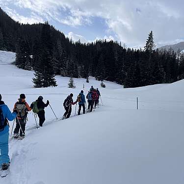 Gruppe von Wanderern mit Stöcken geht durch eine verschneite Berglandschaft.