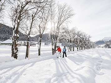 Winterwanderung im Schnee