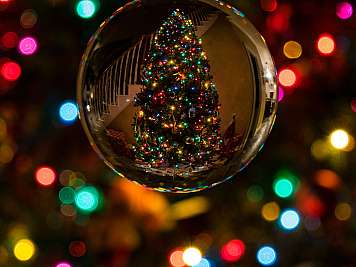 Christmas tree in a bauble