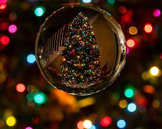 Ein geschmückter Weihnachtsbaum spiegelt sich in einer Glaskugel vor bunten Lichtern.