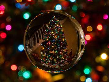 Weihnachtsbaum in Kugel