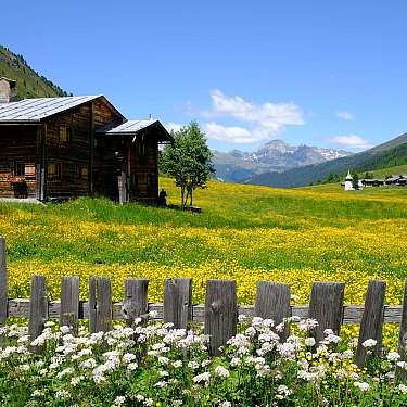 Sertig Häuser Kirche Sommer Blumen (C) Marcel Giger