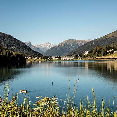 Davos Sommer 2018  C AndreaBadrutt  136 mittel