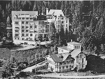 Two large hotel buildings among dense pine trees on a hillside, with winding roads nearby and a black-and-white look.