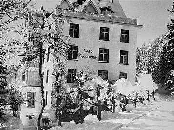 A large building labeled Wald Sanatorium stands in deep snow among bare trees, black-and-white scene, content_suitable:true}