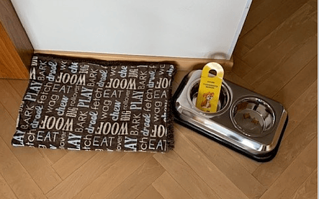 Dog feeding station