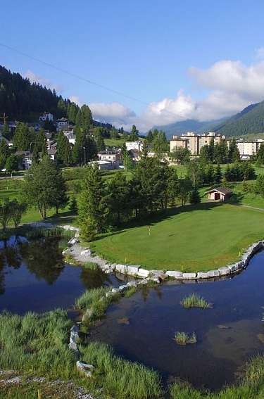 IMG 20240715 112046 kleine