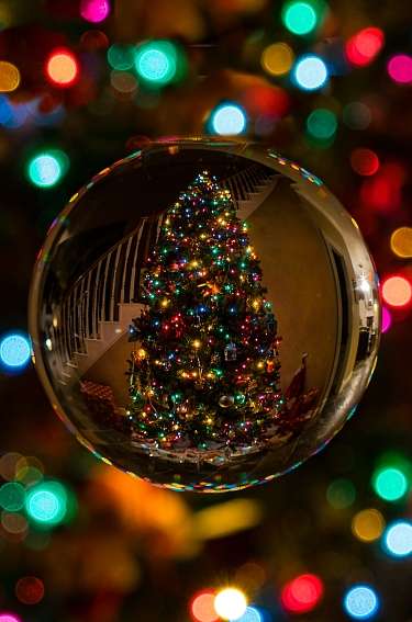 pexels bob springbob 306864