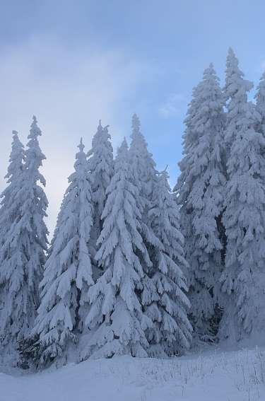 pexels khristo georgiev 4115816