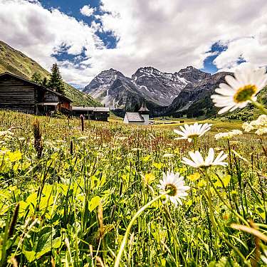 Alpenlandschaft mit Dorf und Blumen