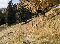 20211029 001 Waldhotel Davos