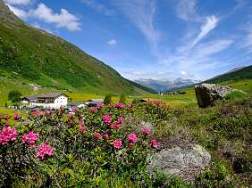 Winterwandern Davos Hohe Promenade C Martin Bissig 193