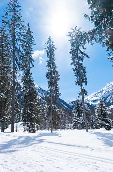 Winterwandern in Klosters