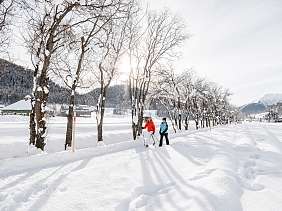 Winterwandern Davos Hohe Promenade C Martin Bissig 193