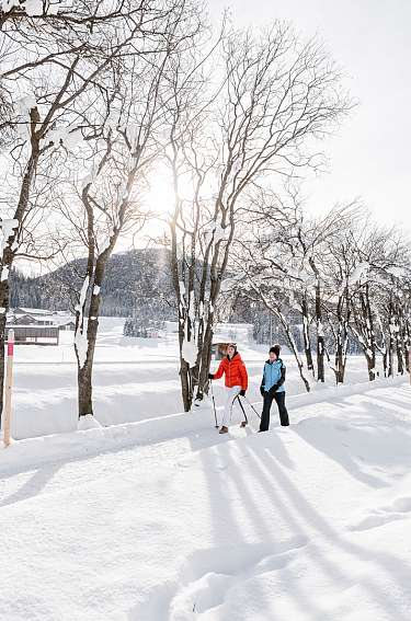 Winterwandern Davos Hohe Promenade C Martin Bissig 193