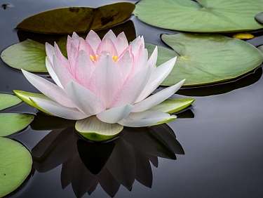 matias t u k1ItT dhE unsplash